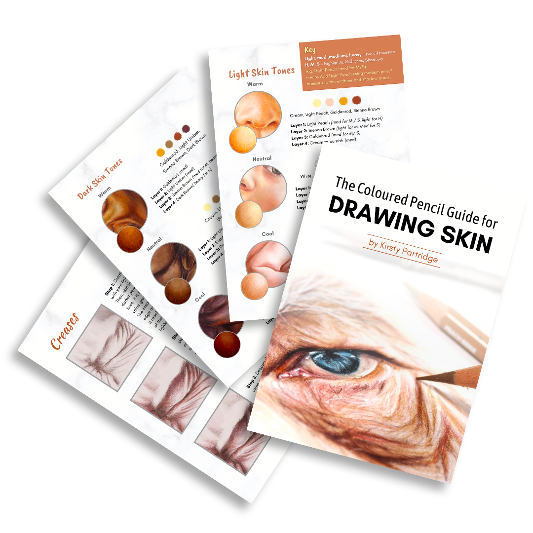 Skin Guide Image Skin Guide Image